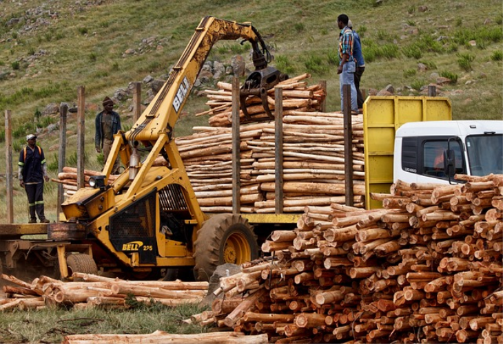 Ccnl Legno Industria Erogazione Una Tantum A Luglio